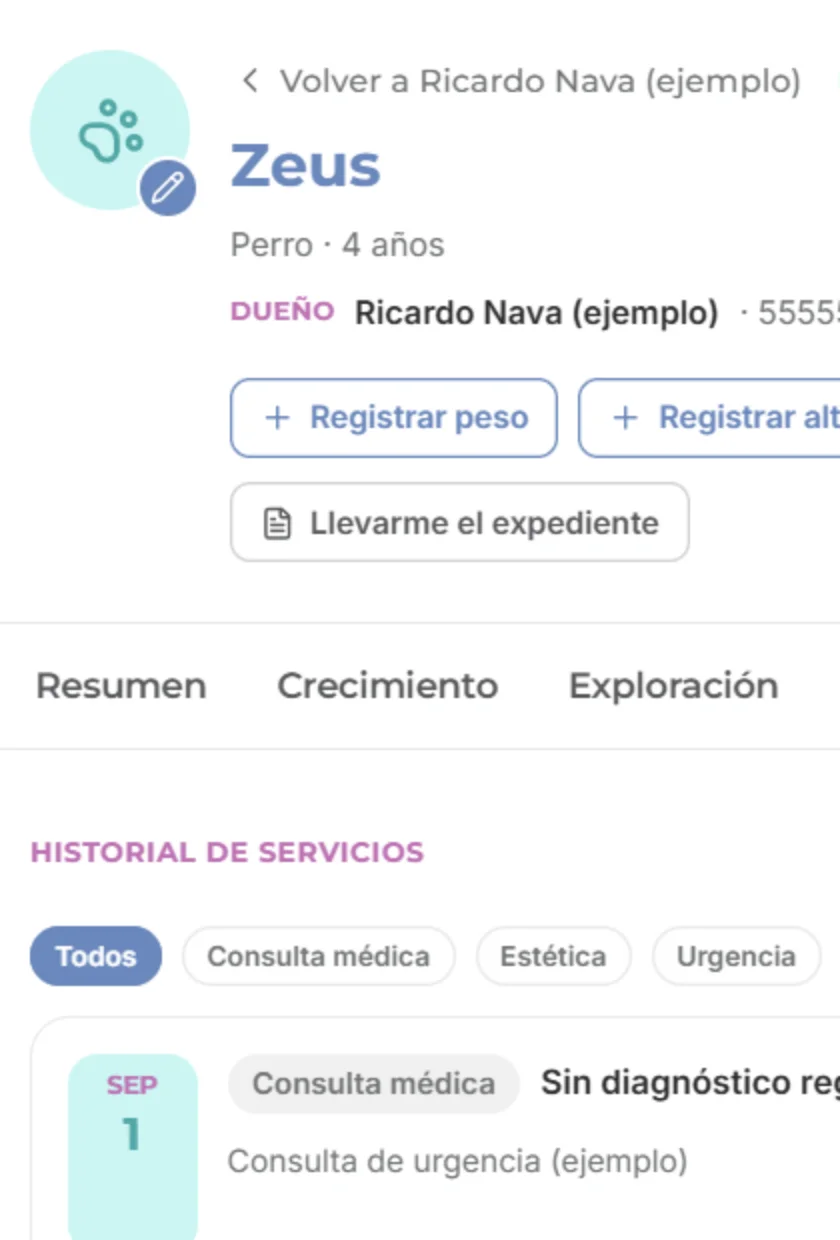 VetNova en la pantalla de un teléfono